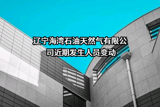 辽宁海湾石油天然气有限公司