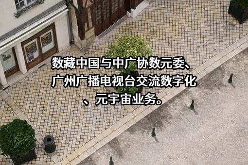 海南数藏文化科技有限公司