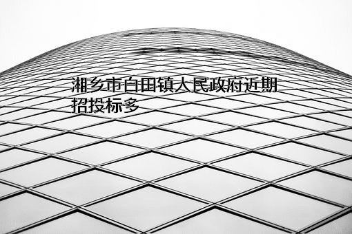 湘乡市白田镇人民政府近期招投标项目多