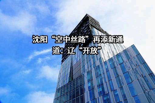 盛大门（沈阳）跨境电商服务有限公司