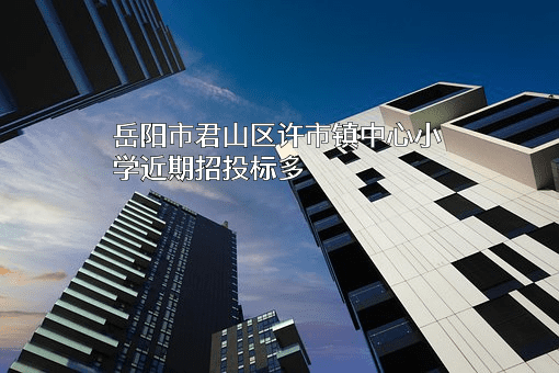 岳阳市君山区许市镇中心小学