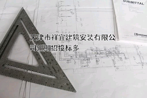 天津市祥宜建筑安装有限公司