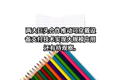 支付宝（中国）网络技术有限公司