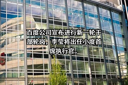 上海小度技术有限公司