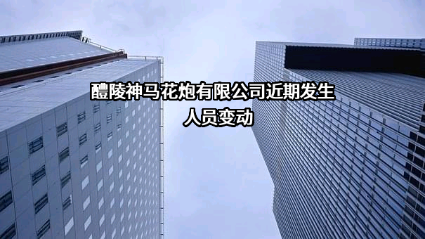 醴陵神马花炮有限公司