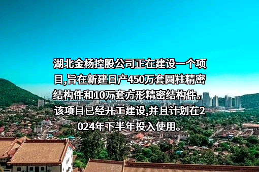 无锡市东杨新材料股份有限公司