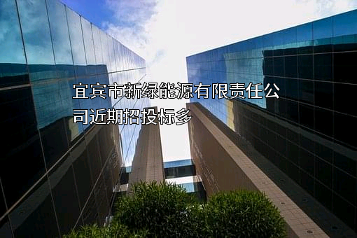 宜宾市新绿能源有限责任公司