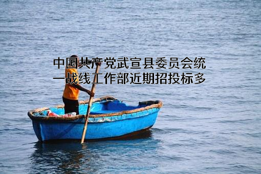 中国共产党武宣县委员会统一战线工作部