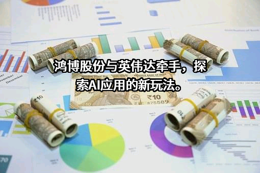 鸿博股份有限公司