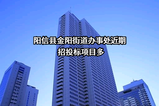 阳信县金阳街道办事处