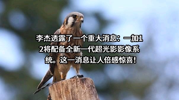 浙江哈苏机械科技有限公司