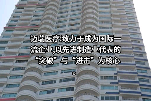 深圳迈瑞生物医疗电子股份有限公司