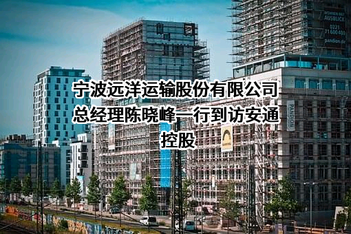 宁波远洋运输股份有限公司