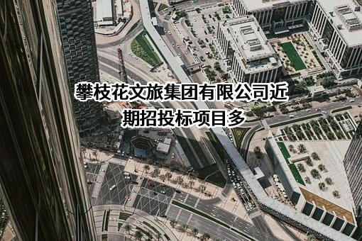 攀枝花文旅集团有限公司