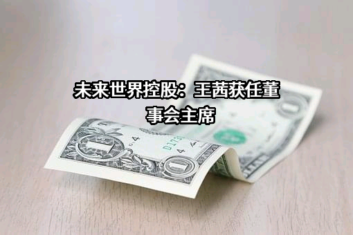 未来世界控股有限公司