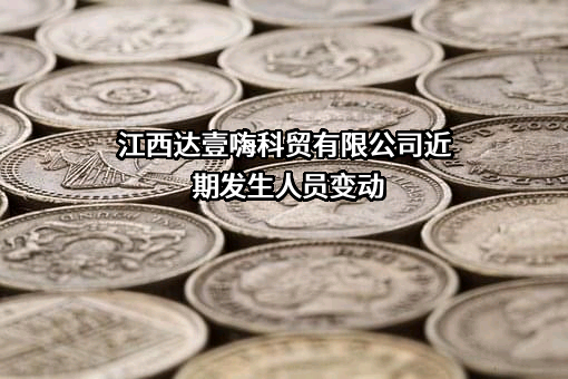 江西达壹嗨科贸有限公司