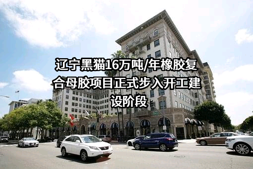 辽宁黑猫复合新材料科技有限公司