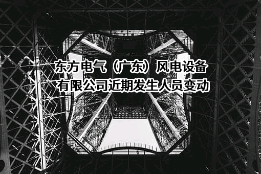 东方电气（广东）风电设备有限公司