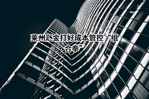 莱州汇金矿业投资有限公司