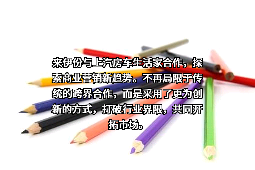 上海来伊份股份有限公司