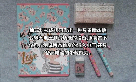 上海灿瑞科技股份有限公司