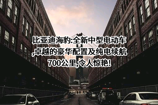 比亚迪股份有限公司