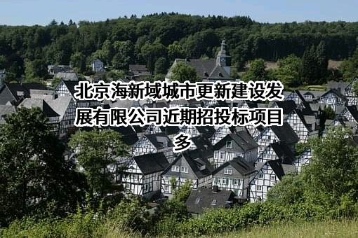 北京海新域城市更新建设发展有限公司