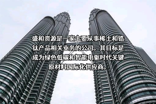 盛和资源控股股份有限公司