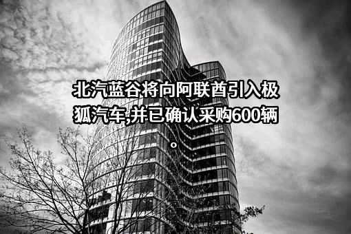 北京新能源汽车股份有限公司