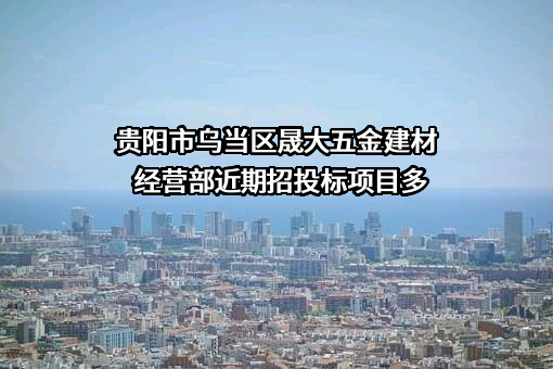 贵阳市乌当区晟大五金建材经营部近期招投标项目多