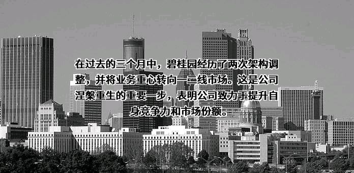 碧桂园控股有限公司