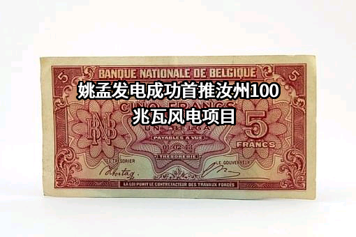 平顶山姚孟发电有限责任公司