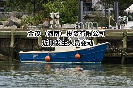 金茂（海南）投资有限公司