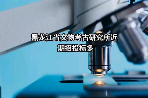 黑龙江省文物考古研究所