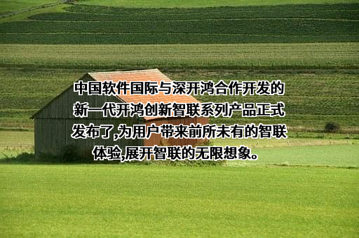 中软国际股份有限公司