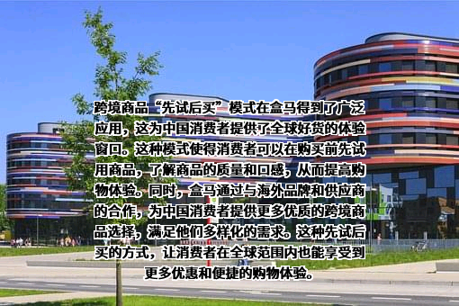 上海盒马网络科技有限公司