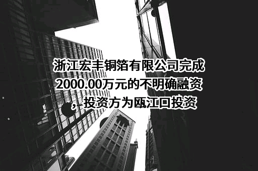 浙江宏丰铜箔有限公司