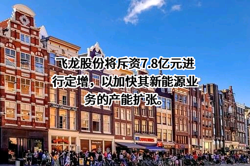 飞龙汽车部件股份有限公司