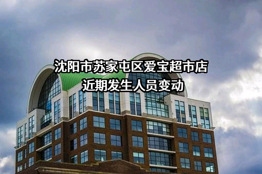 沈阳市苏家屯区爱宝超市店