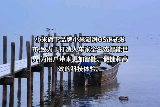 小米科技有限责任公司