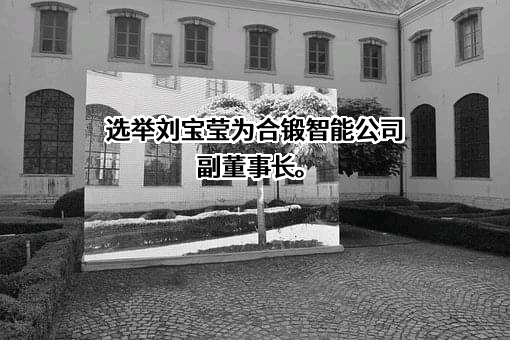 合肥合锻智能制造股份有限公司