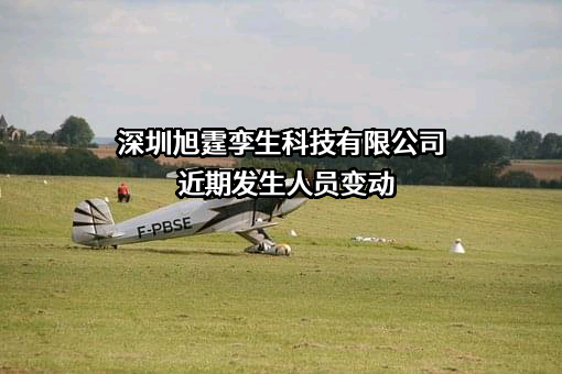 深圳旭霆孪生科技有限公司