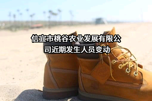 信宜市桃谷农业发展有限公司