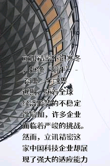 立讯精密工业股份有限公司