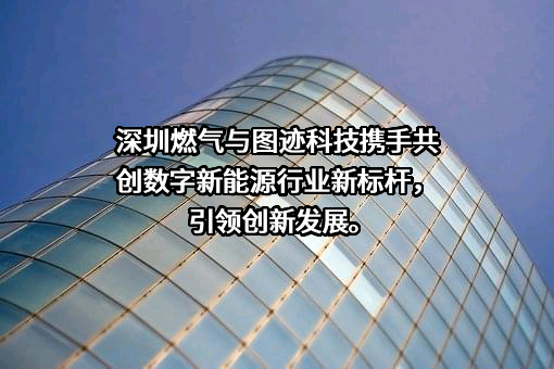 深圳市燃气集团股份有限公司