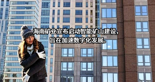 海南矿业股份有限公司