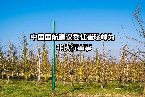 中国国航建议委任崔晓峰为非执行董事