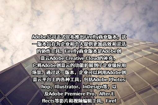 奥多比公司