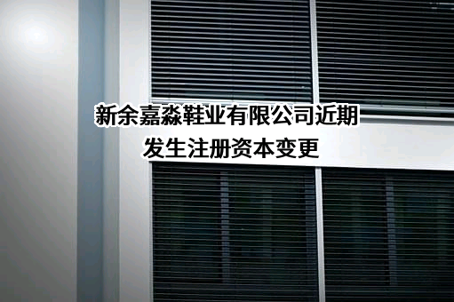 新余嘉淼鞋业有限公司