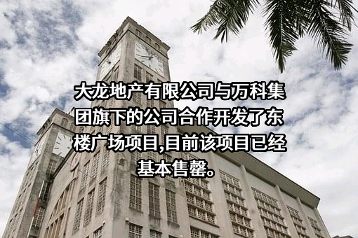 北京市大龙伟业房地产开发股份有限公司